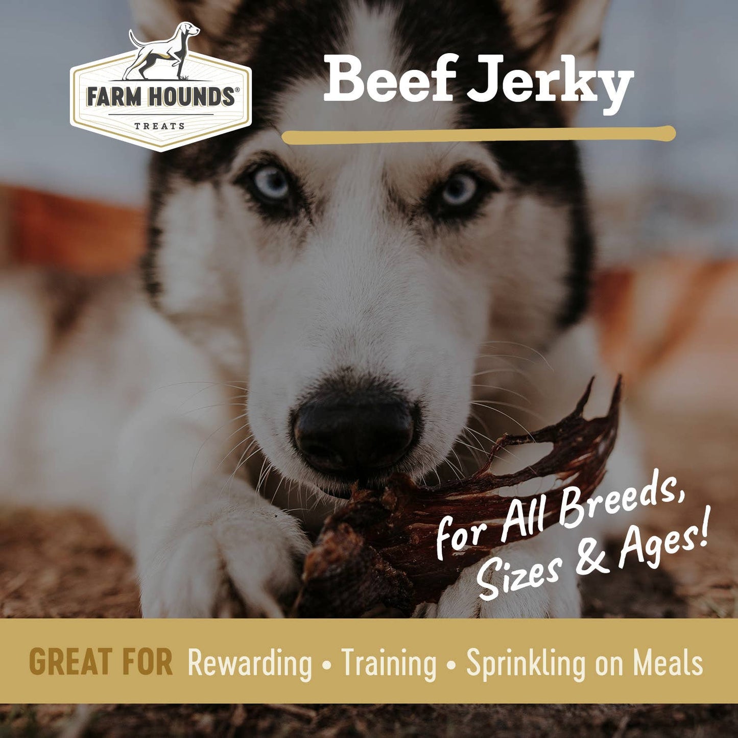 Beef Jerky
