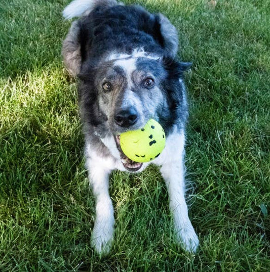 Large Reflex Ball