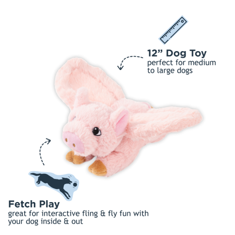 Fling, Fly, + Fetch Pig