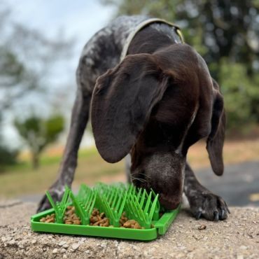 Grass Foraging Mat
