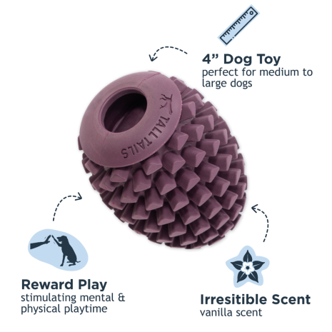 Natural Rubber Pinecone Enrichment Toy