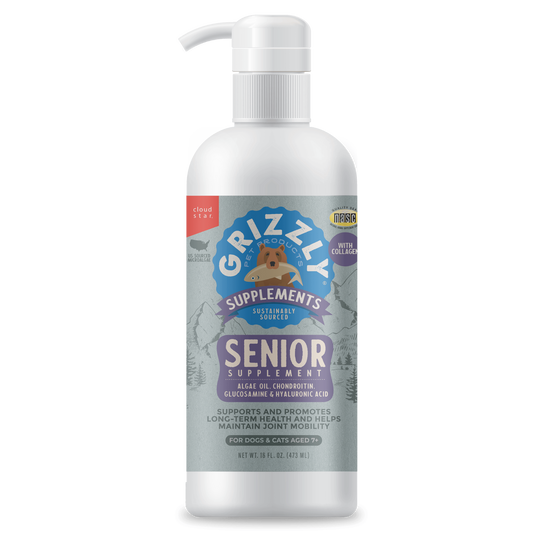 Senior Supplement