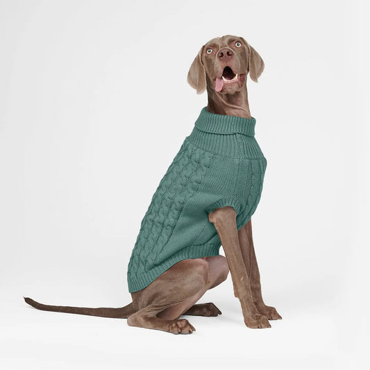 Sparkpaws Sweater