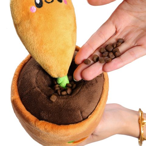 Tug and Treat Carrot