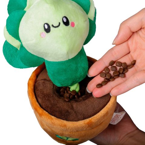 Tug and Treat Lettuce