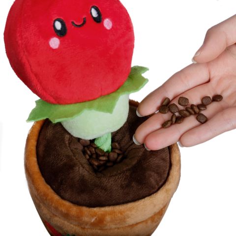 Tug and Treat Tomato